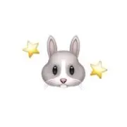 りこの画像