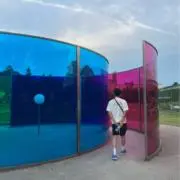 まことーんの画像