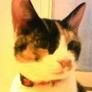 じゅりじゅり