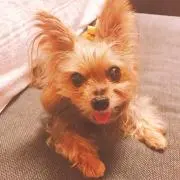 sammy.引越しのため断捨離中！