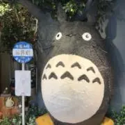 源の画像