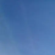 ぽん