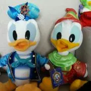 コムサの画像