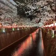 しょうたの画像