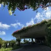 lifeの画像