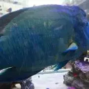 ららの画像
