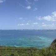 Mの画像