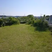 ぼうの画像