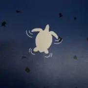 さやとの画像