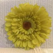 ASDの画像