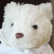 りんごの画像