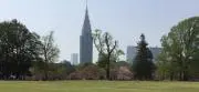 リチタマの画像