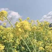 はな☺︎