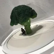 ブロコリの画像