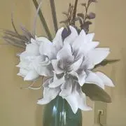 ベルの画像
