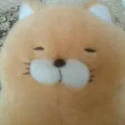 モコ    おまとめがお得sale