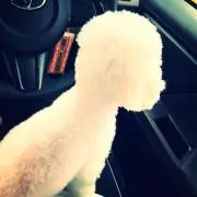 ぬーちゃん