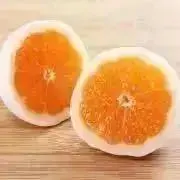 みかんの画像