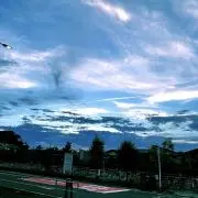 りんこの画像