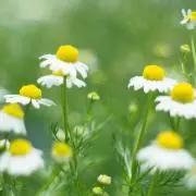 あかりん❀ご希望価格登録お気軽に♪の画像