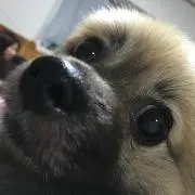 KOUKIの画像