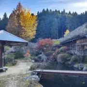 YUU_Tの画像