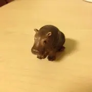 ヒッポコの画像