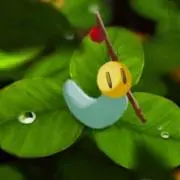 JAIKO