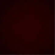 jantaの画像