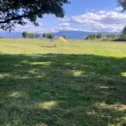 バザールの画像