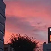 さえの画像