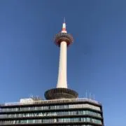 たいせいの画像
