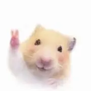 ネテロの画像