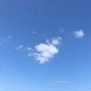 Mの画像