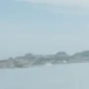 ニン(無言取引可)の画像
