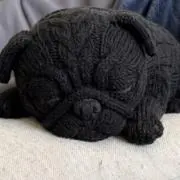 .の画像