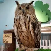 まさぢぃ