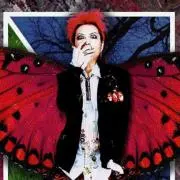 hide