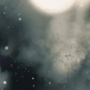 おこめの画像