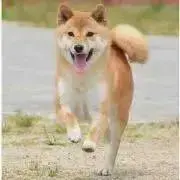 ゆうの画像