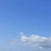 kntの画像