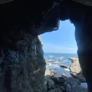 はの画像
