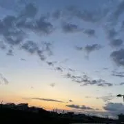 いず
