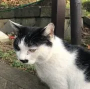 yama96の画像
