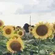 あゆたんの画像