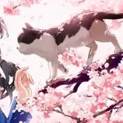 aaanの画像
