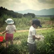 しこり