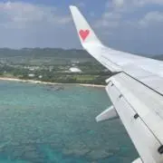 ばやの画像