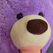 髪型祈祷の画像