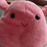 ナツメイ　ピピの画像